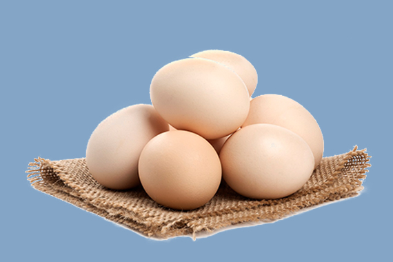 Organic Dairy Farming