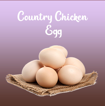 Fresh Dairy Products